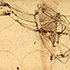 Sognavo di volare: appunti di Leonardo per una macchina volante