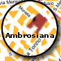 Ambrosiana